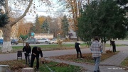 Участие в уборке листвы